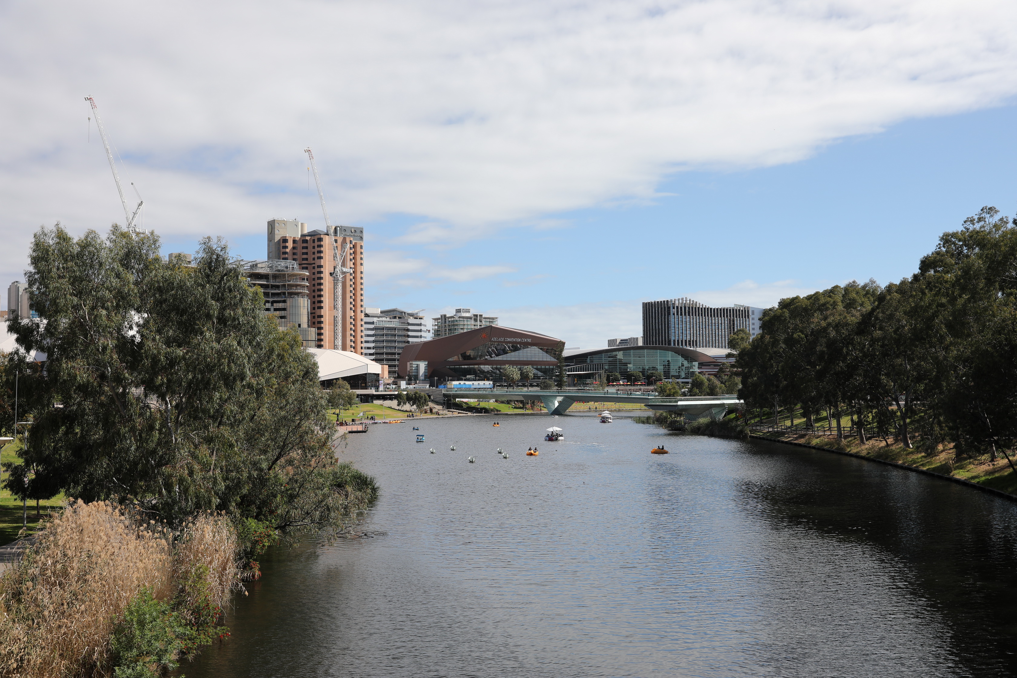 2019 10 27 15 46 00 Canon EOS 5D Mark IV 0006